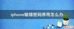 iphone输错密码停用怎么办