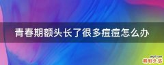 青春期额头长了很多痘痘怎么办