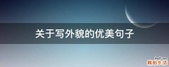 关于写外貌的优美句子