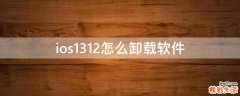 ios1312怎么卸载软件
