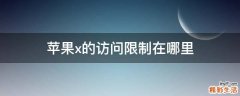 苹果x的访问限制在哪里