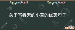 关于写春天的小草的优美句子