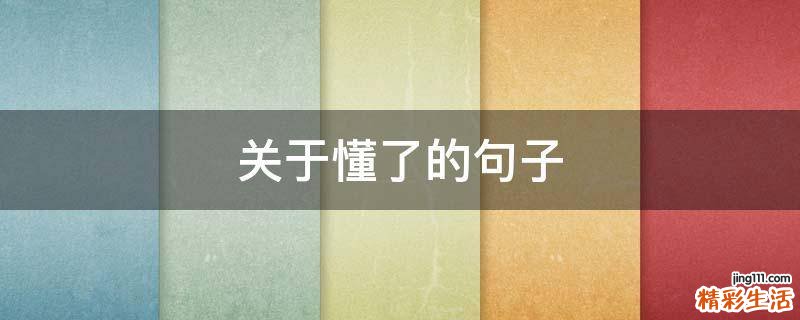 关于懂了的句子