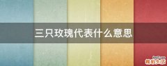 三只玫瑰代表什么意思
