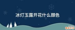 冰灯玉露开花什么颜色