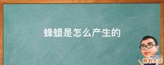 蜂蜡是怎么产生的