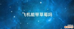 飞机能带草莓吗