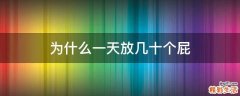 为什么一天放几十个屁