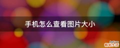 手机怎么查看图片大小