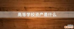 高等学校资产是什么