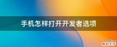 手机怎样打开开发者选项