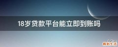 18岁贷款平台能立即到账吗