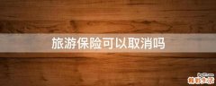 旅游保险可以取消吗