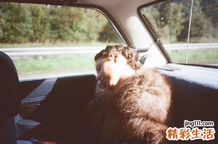 为什么青年不能吃玛卡