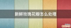新鲜玫瑰花瓣怎么处理