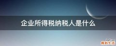 企业所得税纳税人是什么