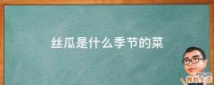 丝瓜是什么季节的菜