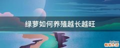 绿萝如何养殖越长越旺