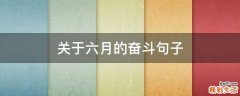 关于六月的奋斗句子