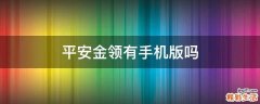 平安金领有手机版吗