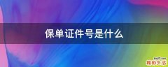 保单证件号是什么