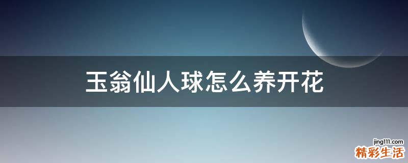 玉翁仙人球怎么养开花
