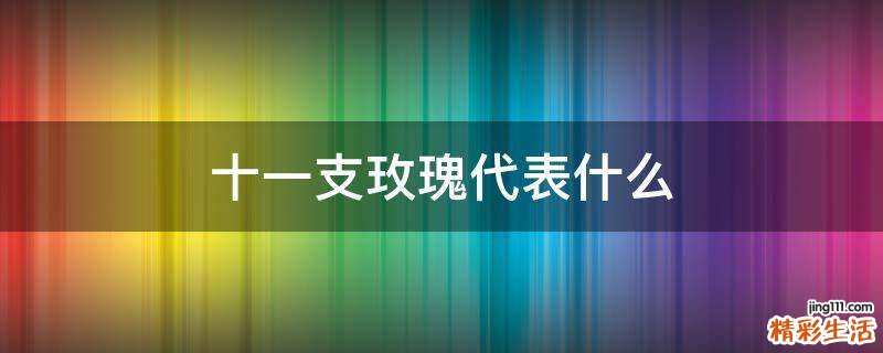 十一支玫瑰代表什么