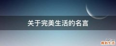 关于完美生活的名言