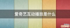 爱奇艺互动播放是什么