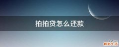 拍拍贷怎么还款