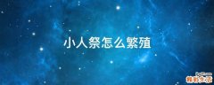 小人祭怎么繁殖