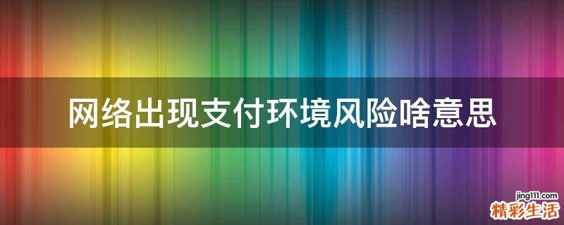 网络出现支付环境风险啥意思