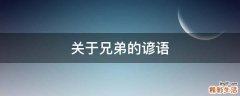 关于兄弟的谚语