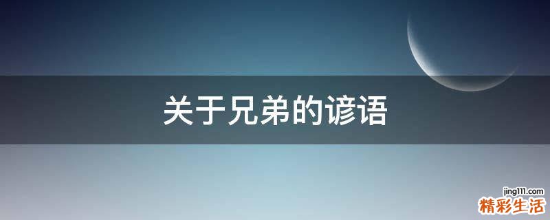 关于兄弟的谚语