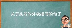 关于头发的外貌描写的句子