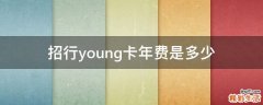 招行young卡年费是多少