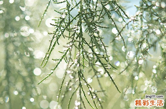 2023年武汉6月份出梅了吗 武汉梅雨季节有多久