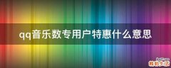 qq音乐数专用户特惠什么意思