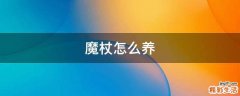 魔杖怎么养