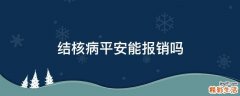 结核病平安能报销吗