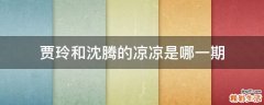贾玲和沈腾的凉凉是哪一期