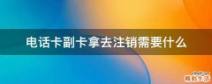 电话卡副卡拿去注销需要什么