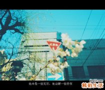 睡眠障碍的治疗手段有哪些