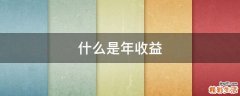 什么是年收益