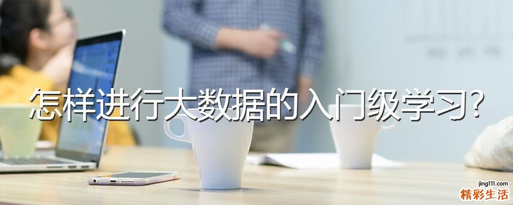 怎样进行大数据的入门级学习