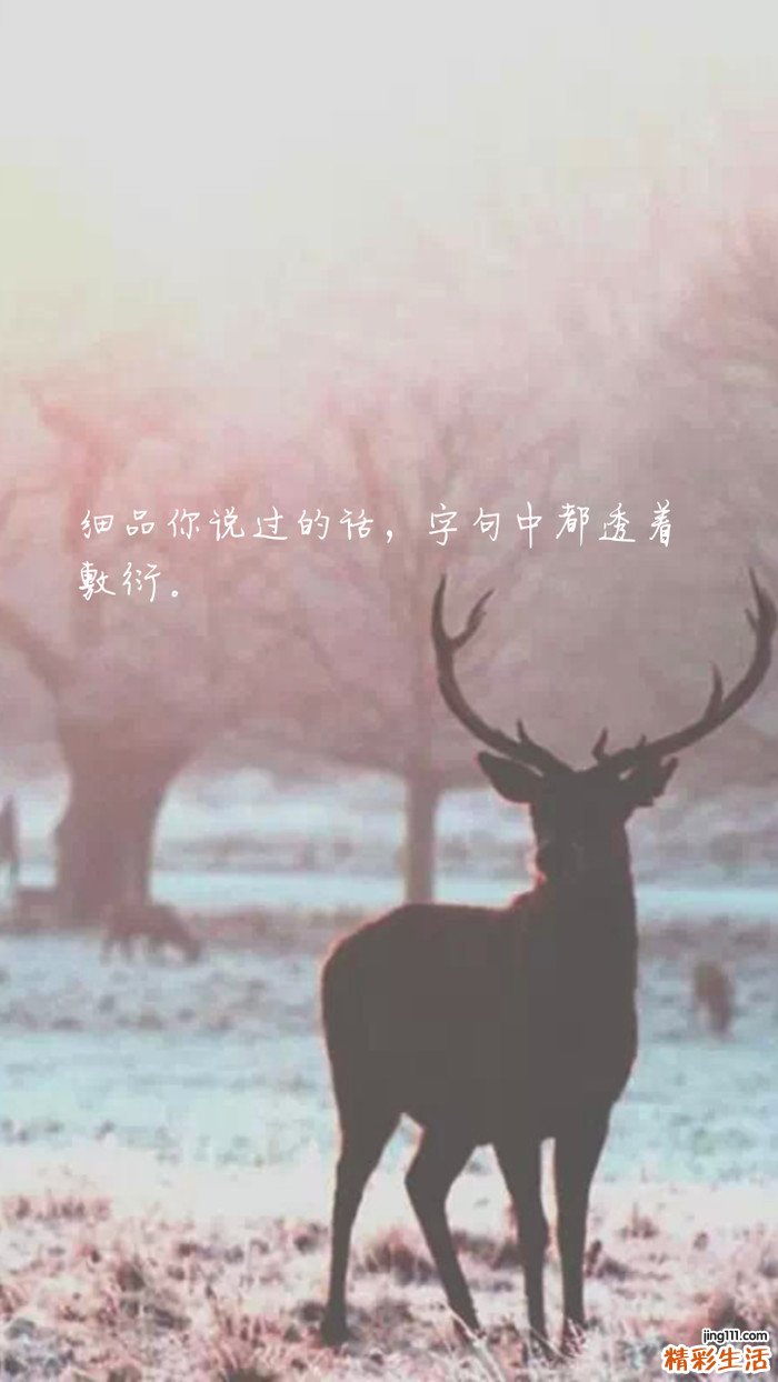 动脉硬化的年龄