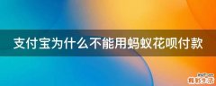 支付宝为什么不能用蚂蚁花呗付款