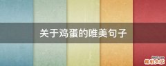 关于鸡蛋的唯美句子