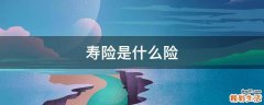寿险是什么险