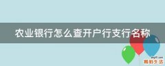 农业银行怎么查开户行支行名称